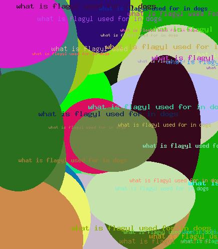 What is flagyl used for in dogs